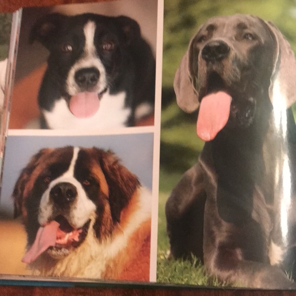 Book- Why Dogs Do That- A Collection of Curious Canine Behaviors by Tom Davis - Picture 5 of 11